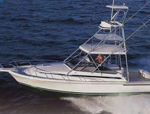 Osa Resort Club Fishing Fleet