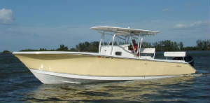 Fishing Charters Clearwater, Tampa, St Pete - Custom Palmetto 33ft